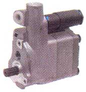 BL20496 Doppelpumpe - passend zu Massey Ferguson 1686766M91, 1869458M91