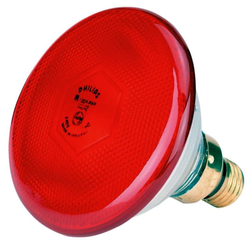 Philips Infrarot-Sparbirnen - 100Watt