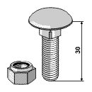 Flachrundschraube/Mutter 51-1029 30 mm M10x1,5 BL3035 Flachrundschraube/Mutter 51-1029 30 mm M10x1,5