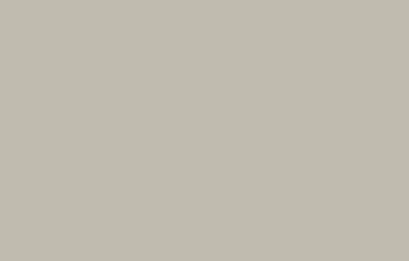 BL15264 RAL 7032 kieselgrau - 1 Liter