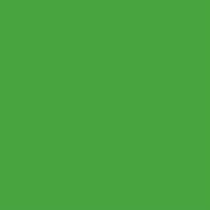 BL15045 Lack Joskin grün - 1 Liter