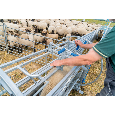 Patura Wendebox für Schafe - mit Fahrwerk Patura Wendebox für Schafe - mit Fahrwerk