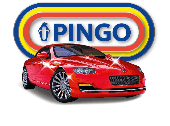 Pingo