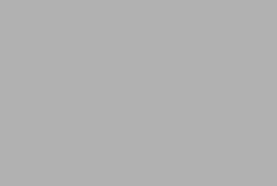 BL15278 RAL 9006 weißaluminium - 2,5l