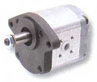 BL21398 Hydraulikpumpe - passend zu Case 1-32-275-001, R918C00773