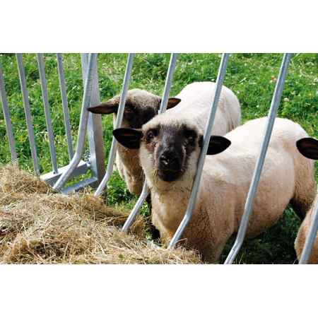 Patura Viereckraufe Schafe / Ziegen - mit Dach