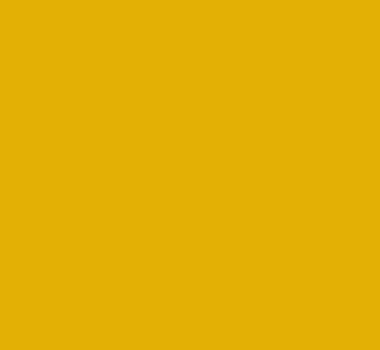 BL14923 Lack Bomag gelb - 1 Liter