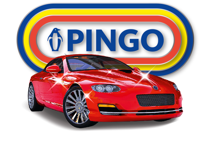 Pingo